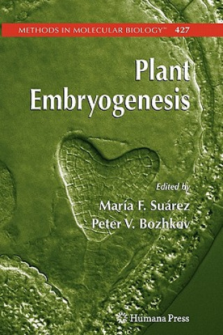 Книга Plant Embryogenesis Maria Fernanda Suarez