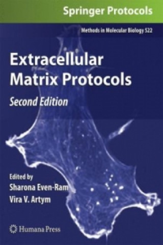 Książka Extracellular Matrix Protocols Sharona Even-Ram