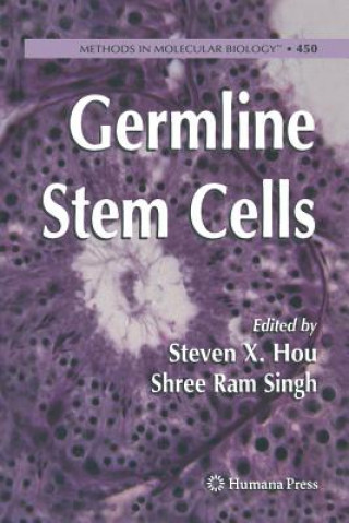 Könyv Germline Stem Cells Steven X. Hou