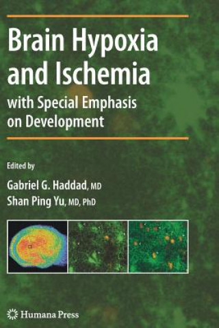 Kniha Brain Hypoxia and Ischemia Gabriel G. Haddad