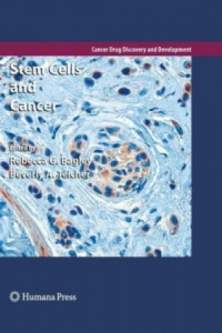 Kniha Stem Cells and Cancer Rebecca G. Bagley