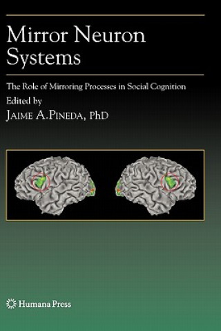 Buch Mirror Neuron Systems Jaime A. Pineda