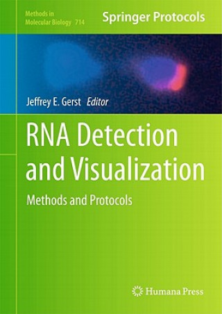 Книга RNA Detection and Visualization Jeffrey E. Gerst