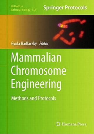 Könyv Mammalian Chromosome Engineering Gyula Hadlaczky