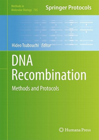 Knjiga DNA Recombination Hideo Tsubouchi