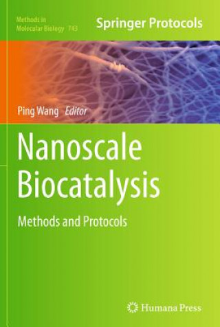 Knjiga Nanoscale Biocatalysis Ping Wang