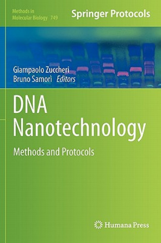 Kniha DNA Nanotechnology Giampaolo Zuccheri