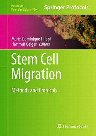 Książka Stem Cell Migration Marie-Dominique Filippi