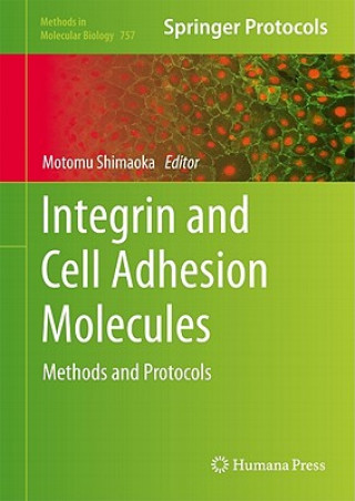 Książka Integrin and Cell Adhesion Molecules Motomu Shimaoka