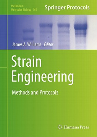 Książka Strain Engineering James A. Williams