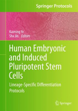 Könyv Human Embryonic and Induced Pluripotent Stem Cells Kaiming Ye