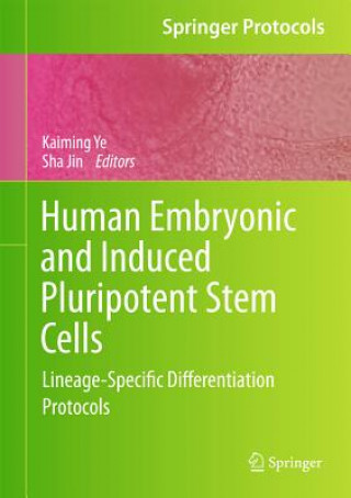 Książka Human Embryonic and Induced Pluripotent Stem Cells Kaiming Ye