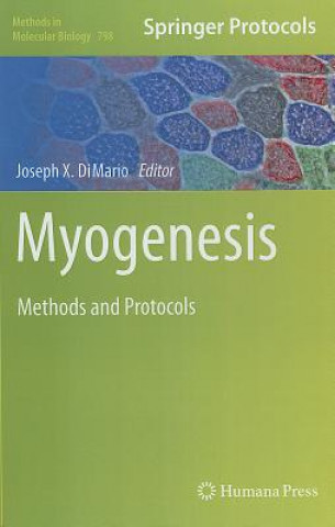 Könyv Myogenesis Joseph X. DiMario