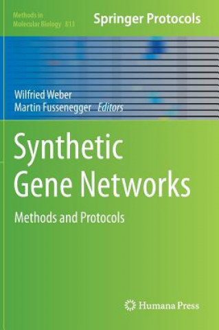 Kniha Synthetic Gene Networks Wilfried Weber