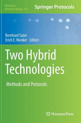 Kniha Two Hybrid Technologies Bernhard Suter