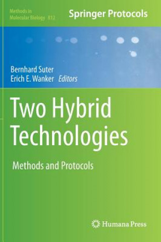 Βιβλίο Two Hybrid Technologies Bernhard Suter