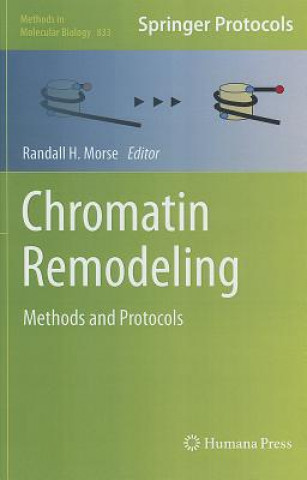 Kniha Chromatin Remodeling Randall H. Morse