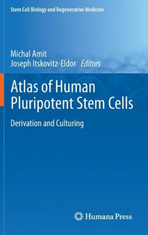 Buch Atlas of Human Pluripotent Stem Cells Michal Amit