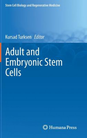 Knjiga Adult and Embryonic Stem Cells Kursad Turksen