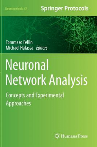 Buch Neuronal Network Analysis Tommaso Fellin