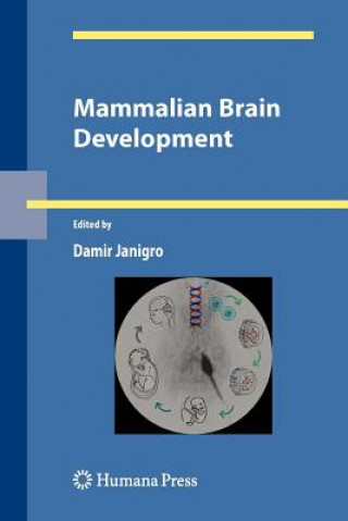 Könyv Mammalian Brain Development Damir Janigro