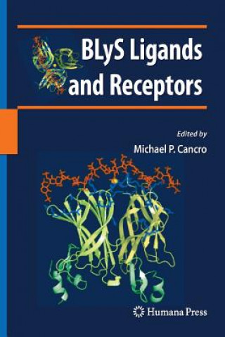 Kniha BLyS Ligands and Receptors Michael P. Cancro