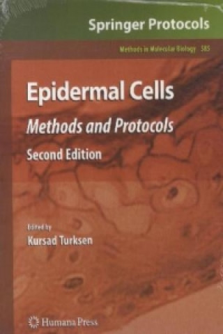 Buch Epidermal Cells Kursad Turksen