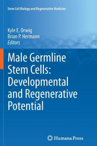 Книга Male Germline Stem Cells: Developmental and Regenerative Potential Kyle E. Orwig