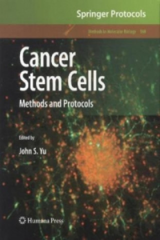 Buch Cancer Stem Cells John S. Yu