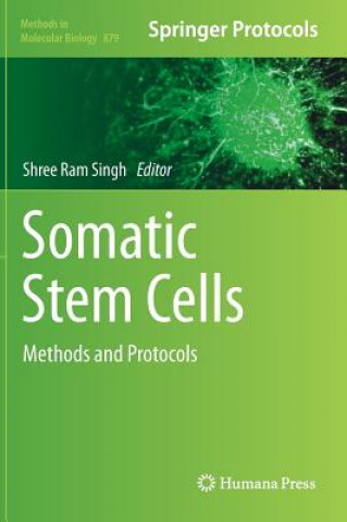 Kniha Somatic Stem Cells Shree Ram Singh