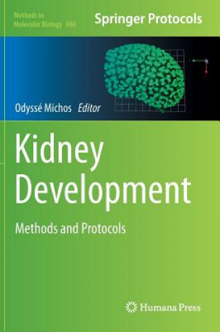 Könyv Kidney Development Odyssé Michos