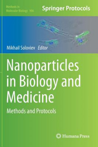 Kniha Nanoparticles in Biology and Medicine Mikhail Soloviev