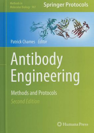Könyv Antibody Engineering Patrick Chames