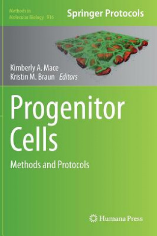 Könyv Progenitor Cells Kimberly A. Mace