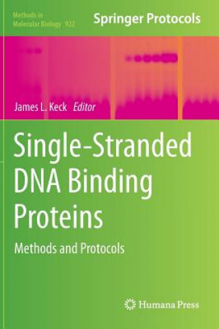 Kniha Single-Stranded DNA Binding Proteins James L. Keck