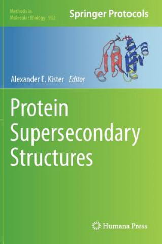 Kniha Protein Supersecondary Structures Alexander E. Kister