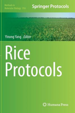 Carte Rice Protocols Yinong Yang