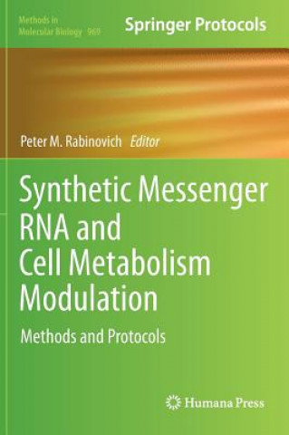 Książka Synthetic Messenger RNA and Cell Metabolism Modulation Peter M. Rabinovich