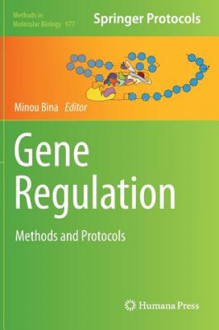 Kniha Gene Regulation Minou Bina