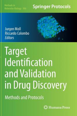 Kniha Target Identification and Validation in Drug Discovery Jurgen Moll