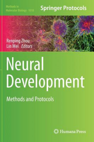 Könyv Neural Development Renping Zhou