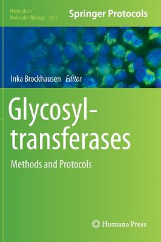 Kniha Glycosyltransferases Inka Brockhausen