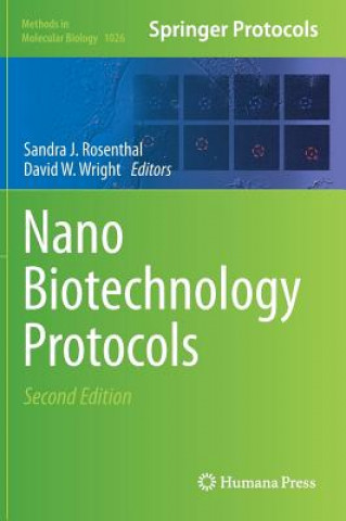 Kniha NanoBiotechnology Protocols Sandra J. Rosenthal