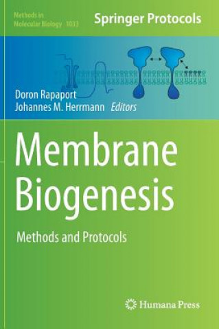 Книга Membrane Biogenesis Doron Rapaport