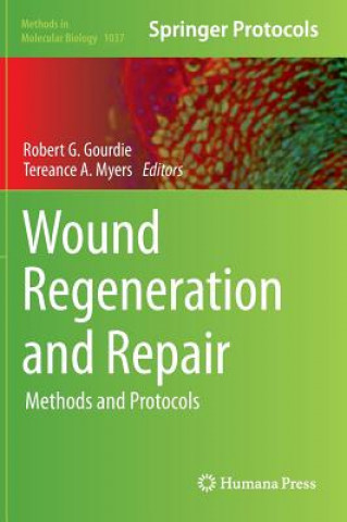 Könyv Wound Regeneration and Repair Robert G. Gourdie