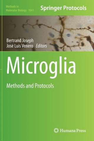 Kniha Microglia Bertrand Joseph