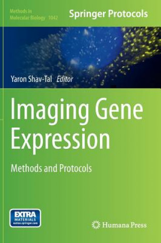 Kniha Imaging Gene Expression Yaron Shav-Tal