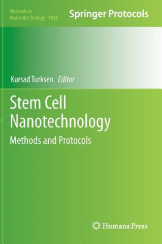 Könyv Stem Cell Nanotechnology Kursad Turksen