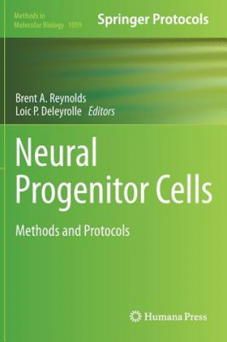 Kniha Neural Progenitor Cells Brent A. Reynolds