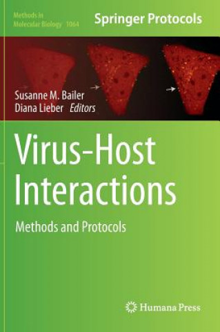 Kniha Virus-Host Interactions Susanne M. Bailer